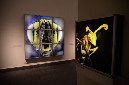 Wasp_exhibition__DSC3398